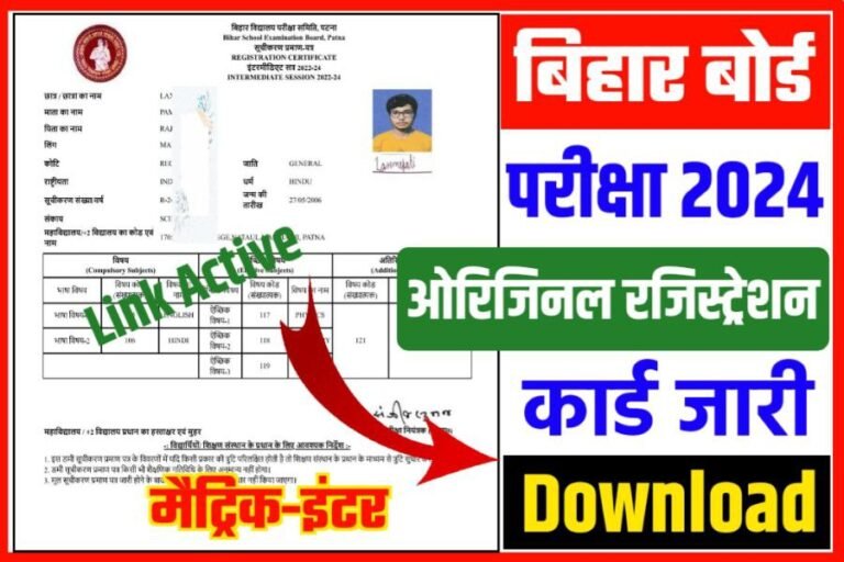 Bseb Bihar Board Matric Inter Original Registration Card Original